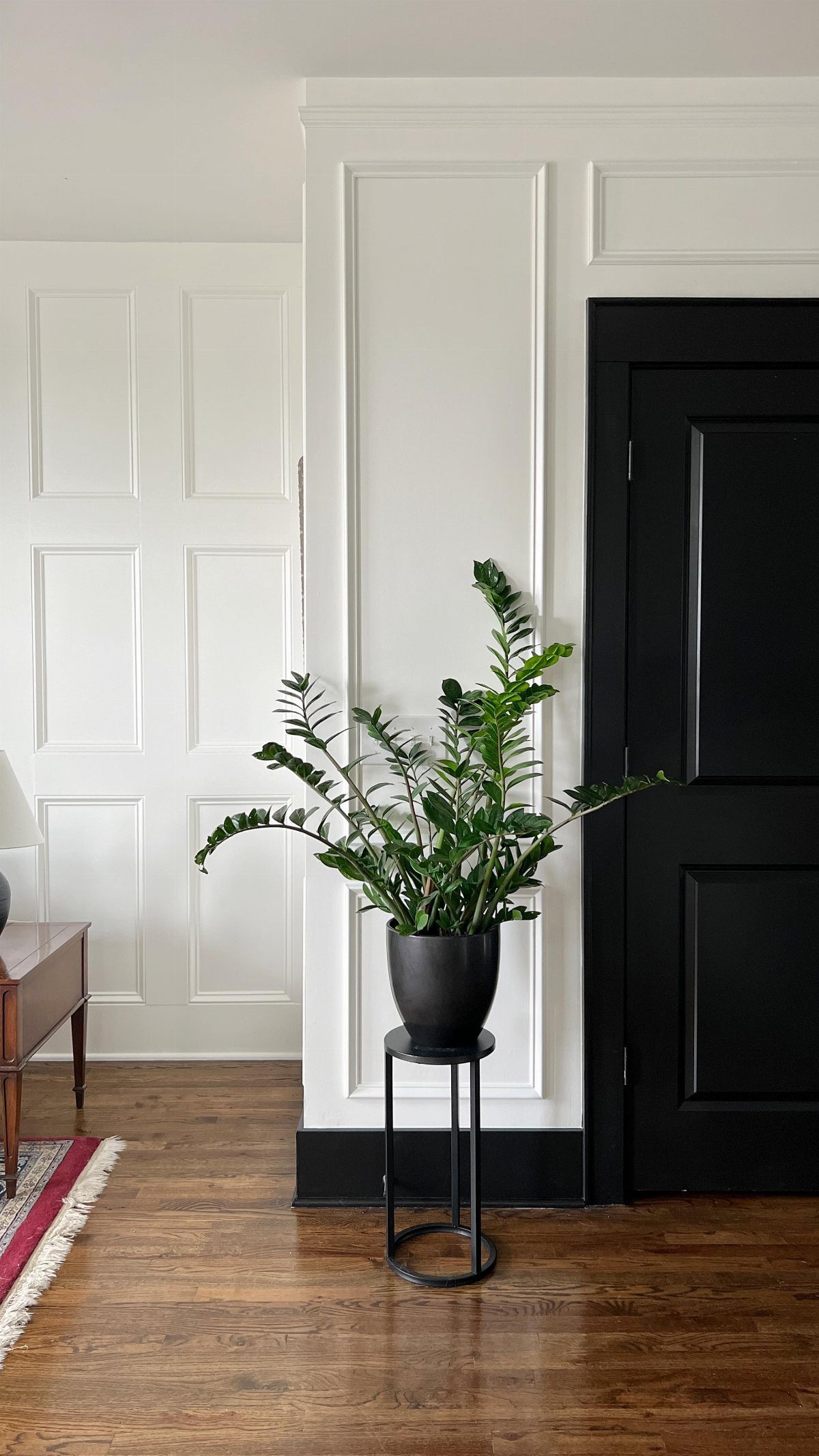 Black paneled door and black baseboards against white architectural wall molding.