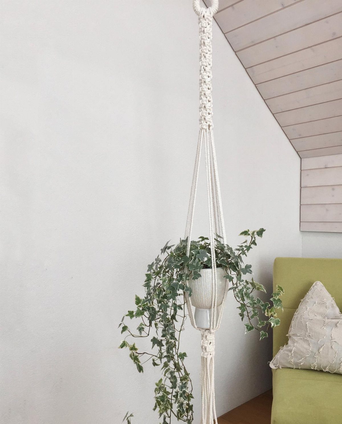 A white macrame planter hanging with a green ivy plant against a white wall.