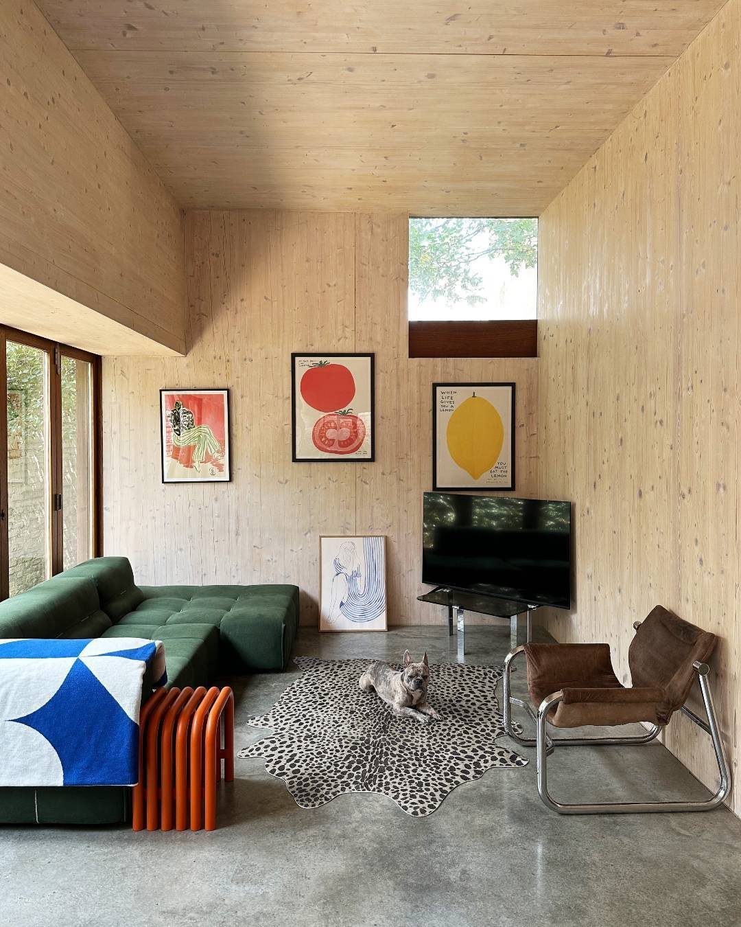 A cheetah print rug on a concrete floor in a wood paneled living room.