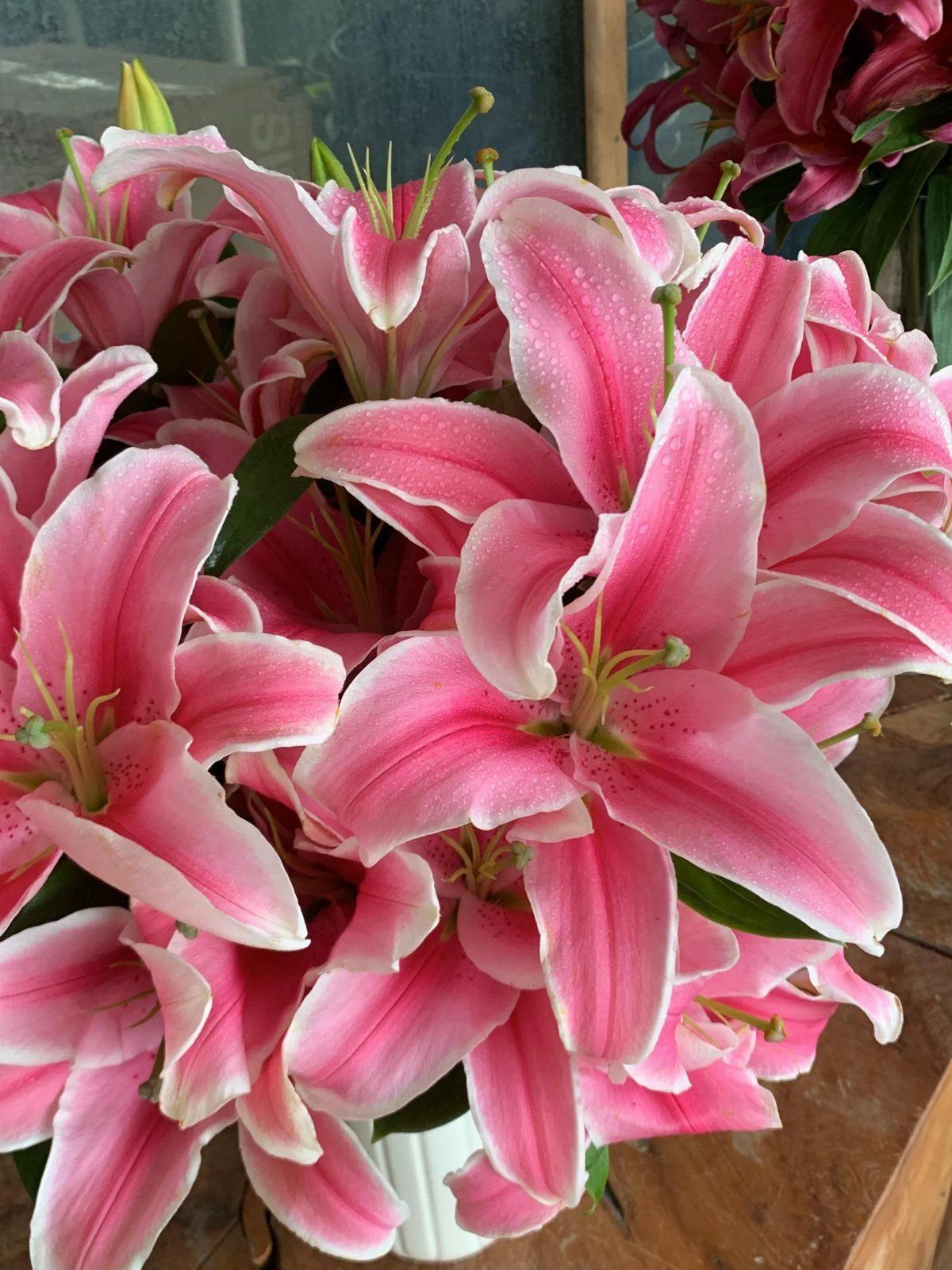 Vibrant pink lilies with white edges and water droplets in a dense bouquet.