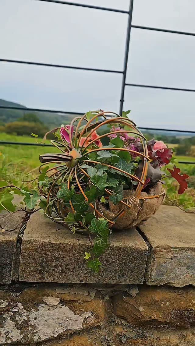 A small pumpkin planter filled with green ivy and pink flowers sitting on a stone wall.