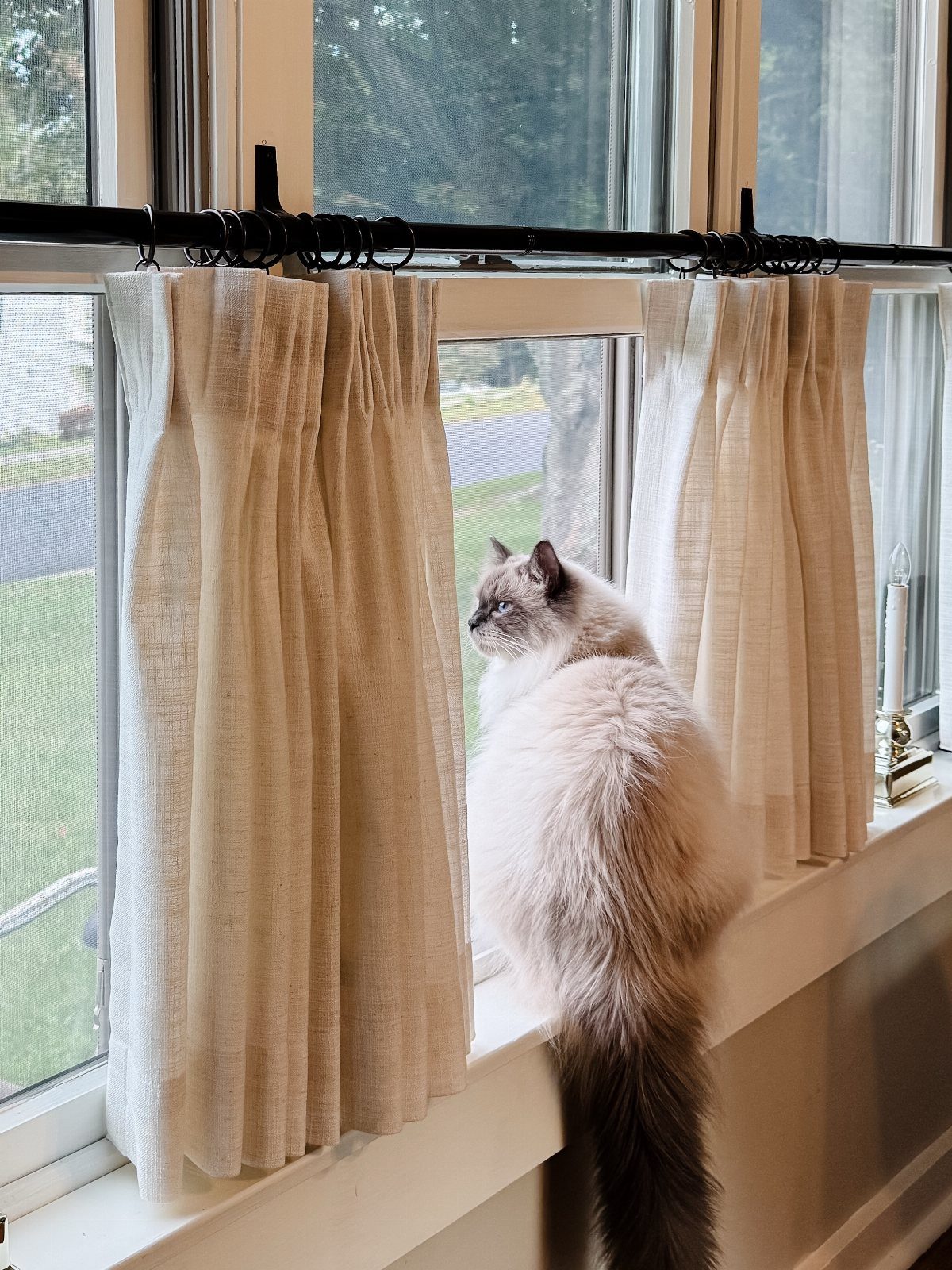 Cream linen curtains hanging on a black rod above a cat sitting on a windowsill.