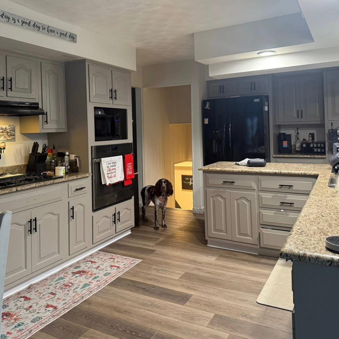 Grey painted kitchen cabinets with granite countertops and a small dog standing on wood flooring.