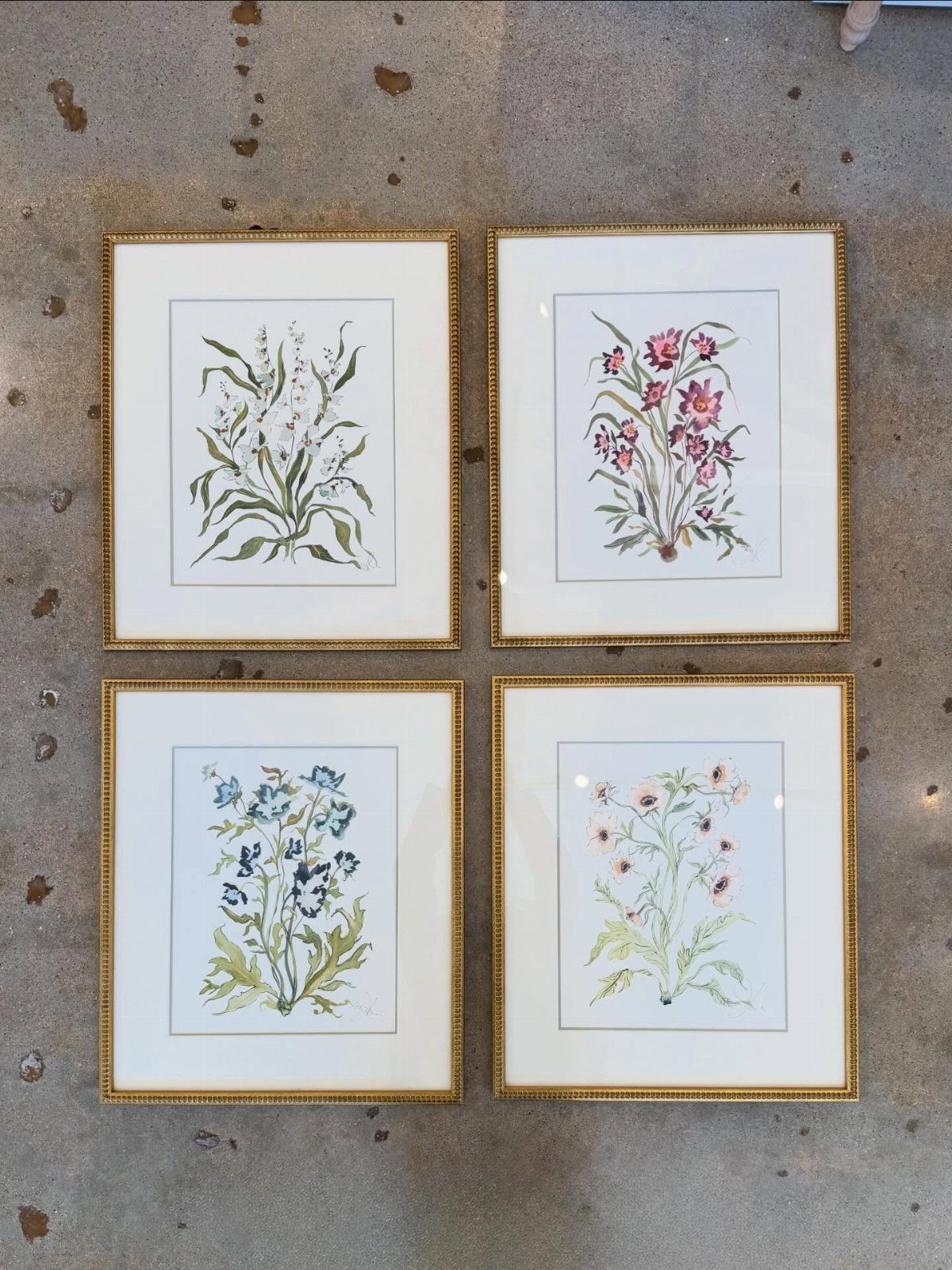 Four gold-framed botanical prints with delicate floral illustrations resting on a concrete floor.