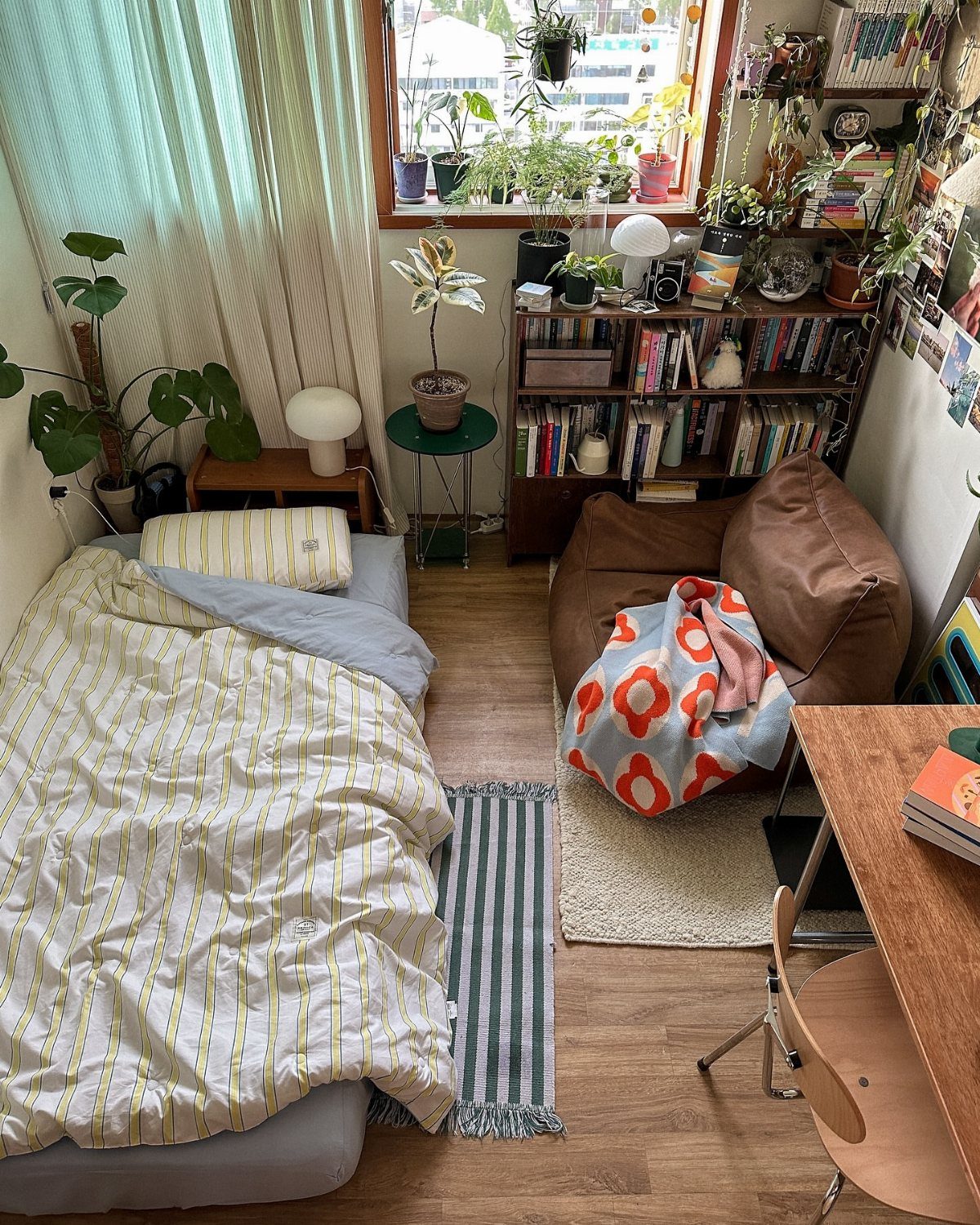 A small bedroom filled with various green potted plants on windowsills, shelves, and the floor.