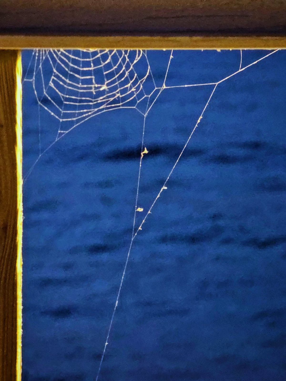 White artificial spiderweb stretched across a dark blue background within a wooden frame.