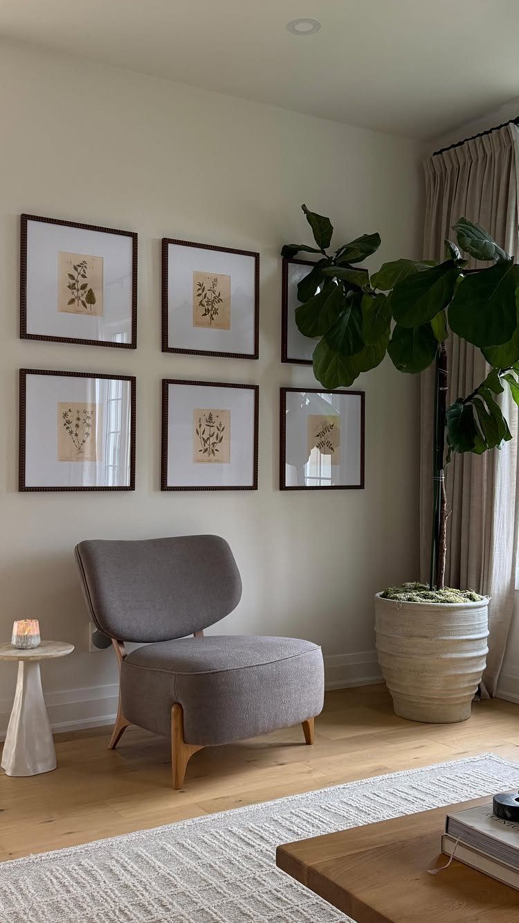 Six framed botanical prints arranged in a grid on a neutral living room wall.