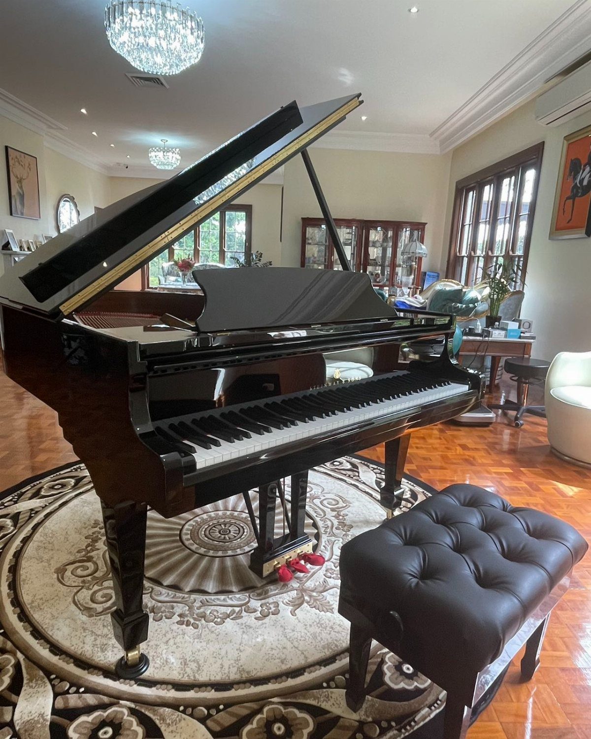 A black grand piano with an open lid resting on a patterned rug in a bright room.