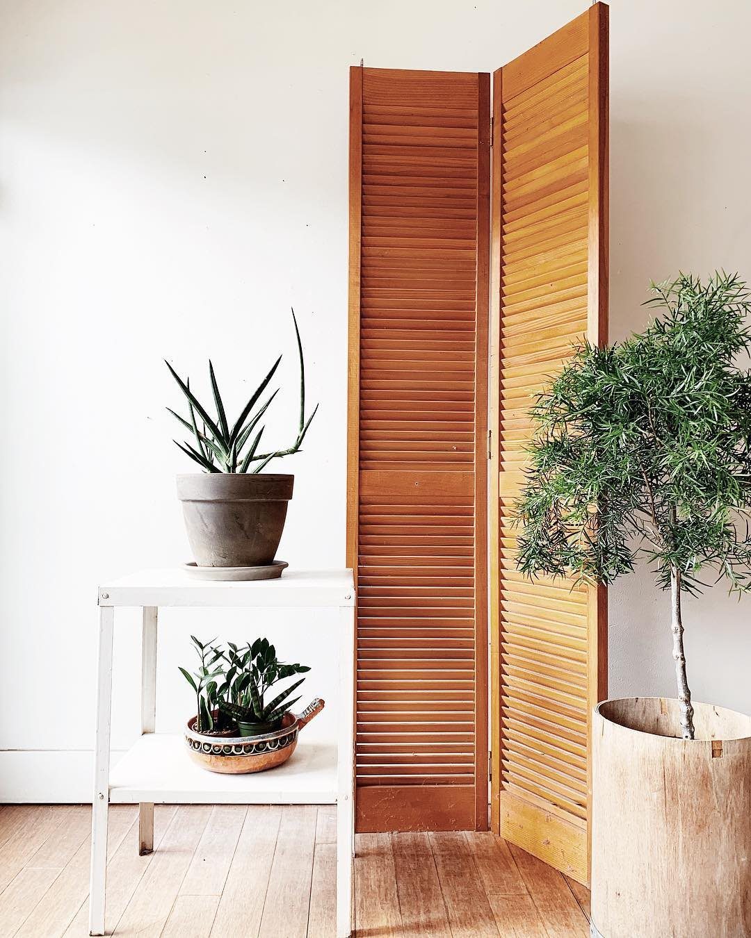 Wooden slatted folding screen standing between a white plant shelf and a large potted plant.