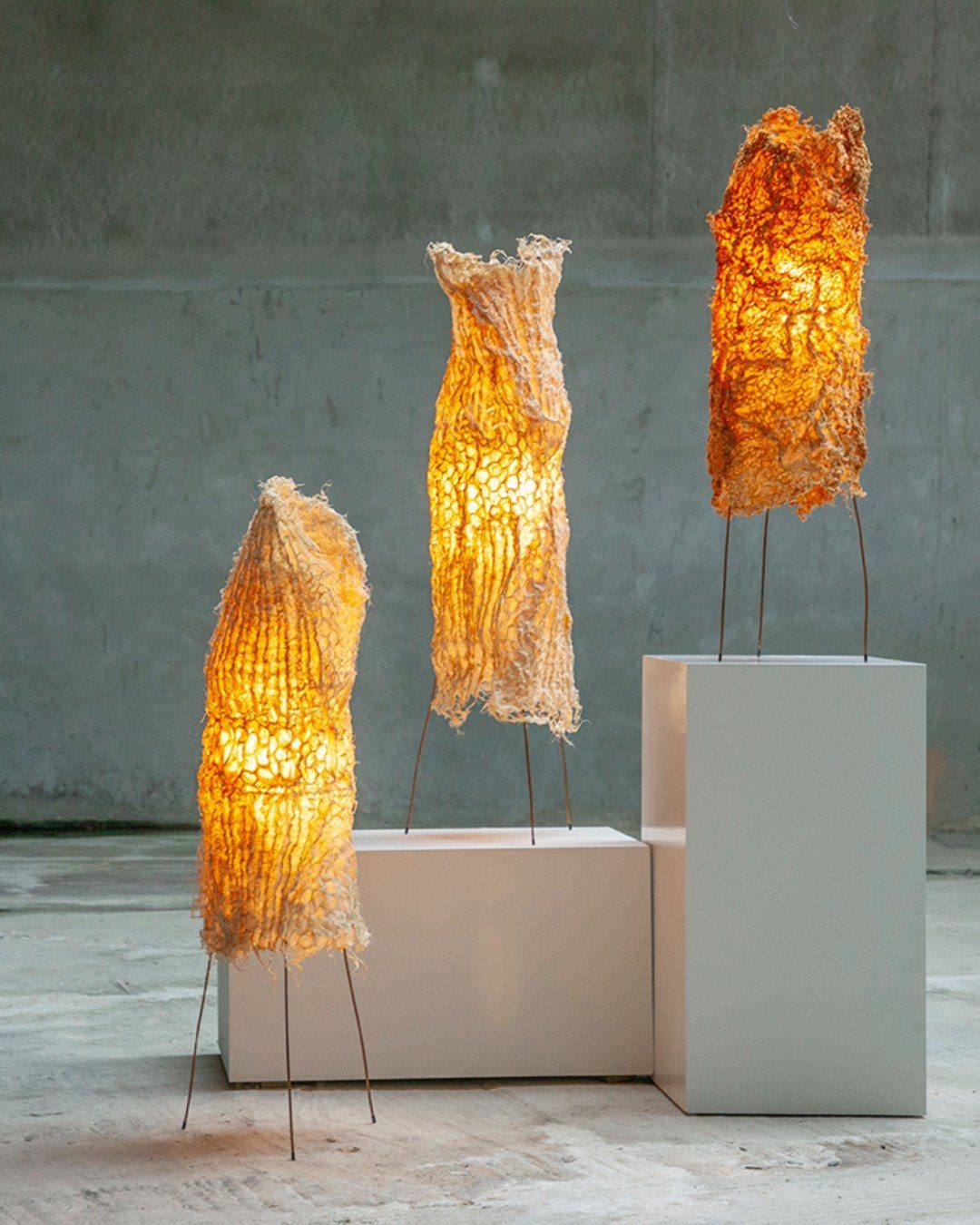 Three glowing organic sculptures on white pedestals against a grey concrete wall.