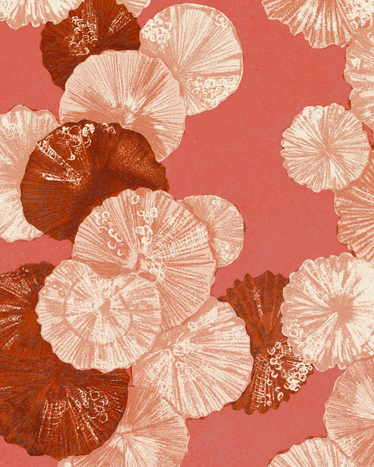 Stylized seashell patterns in terracotta and cream colors on a coral background.