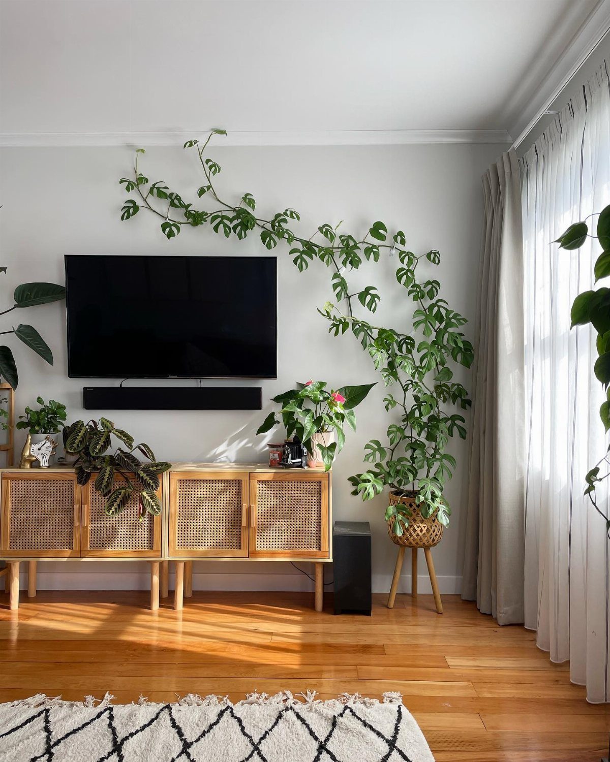A climbing green plant grows across a white wall above wooden cane cabinets.