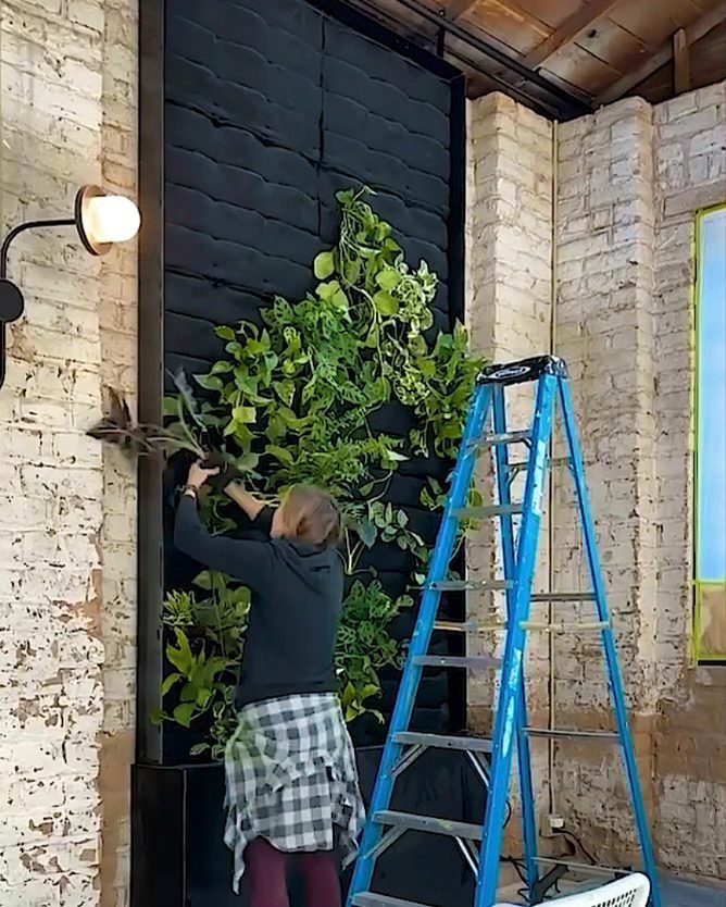 A person installing lush green plants onto a large black vertical wall feature.