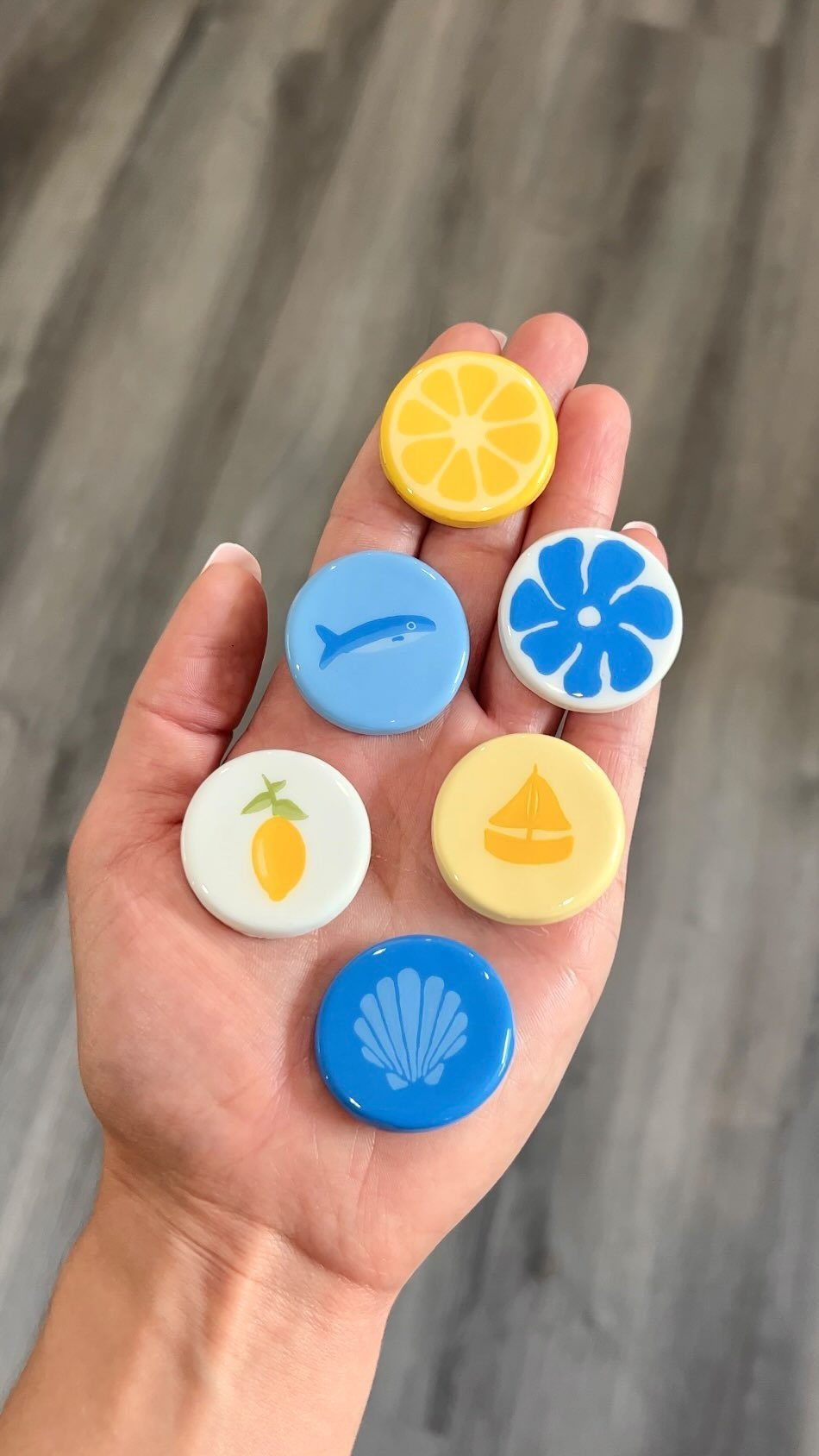 A hand holding six colorful round clay magnets with fruit, fish, and floral designs.