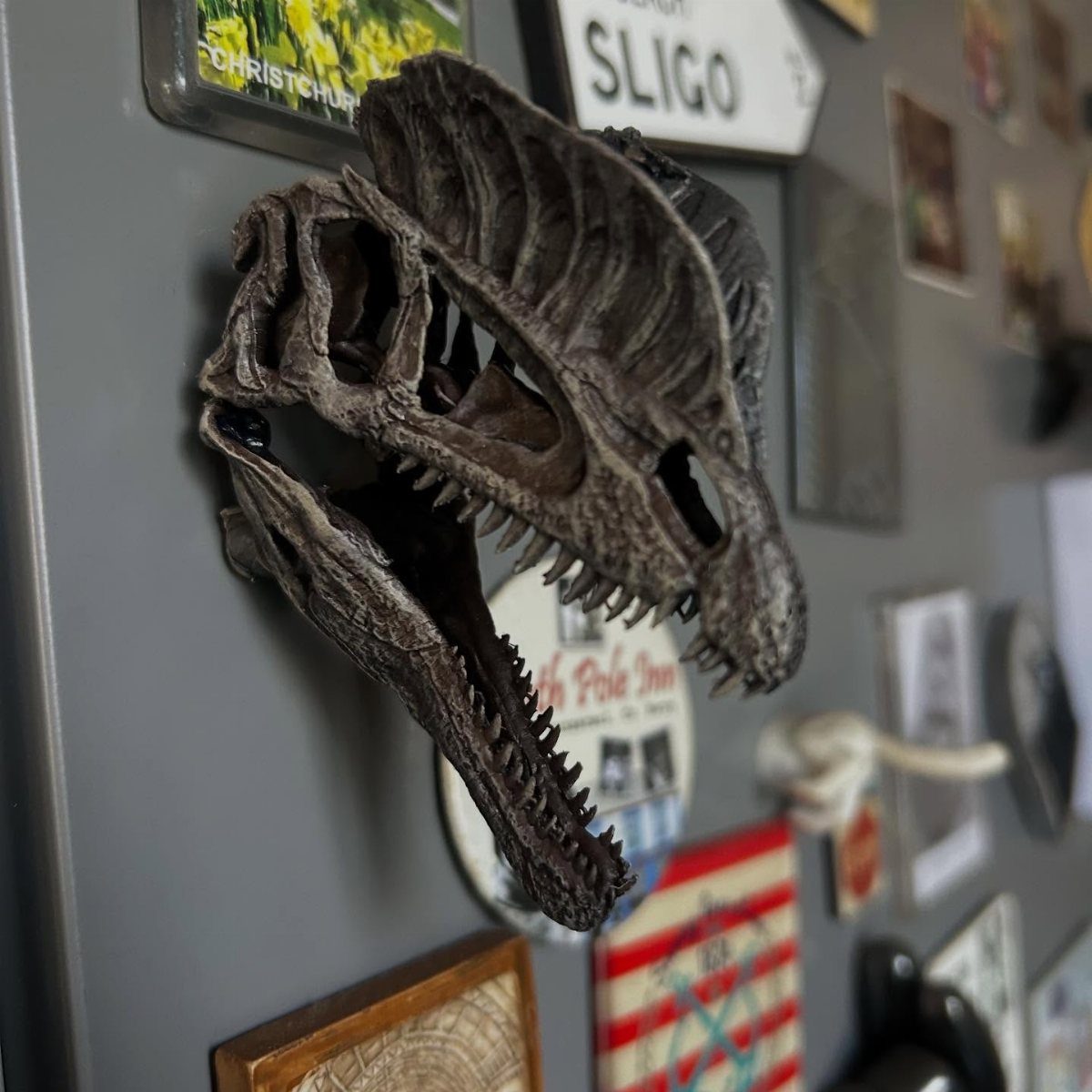 A dark textured dinosaur skull magnet attached to a grey refrigerator surface.