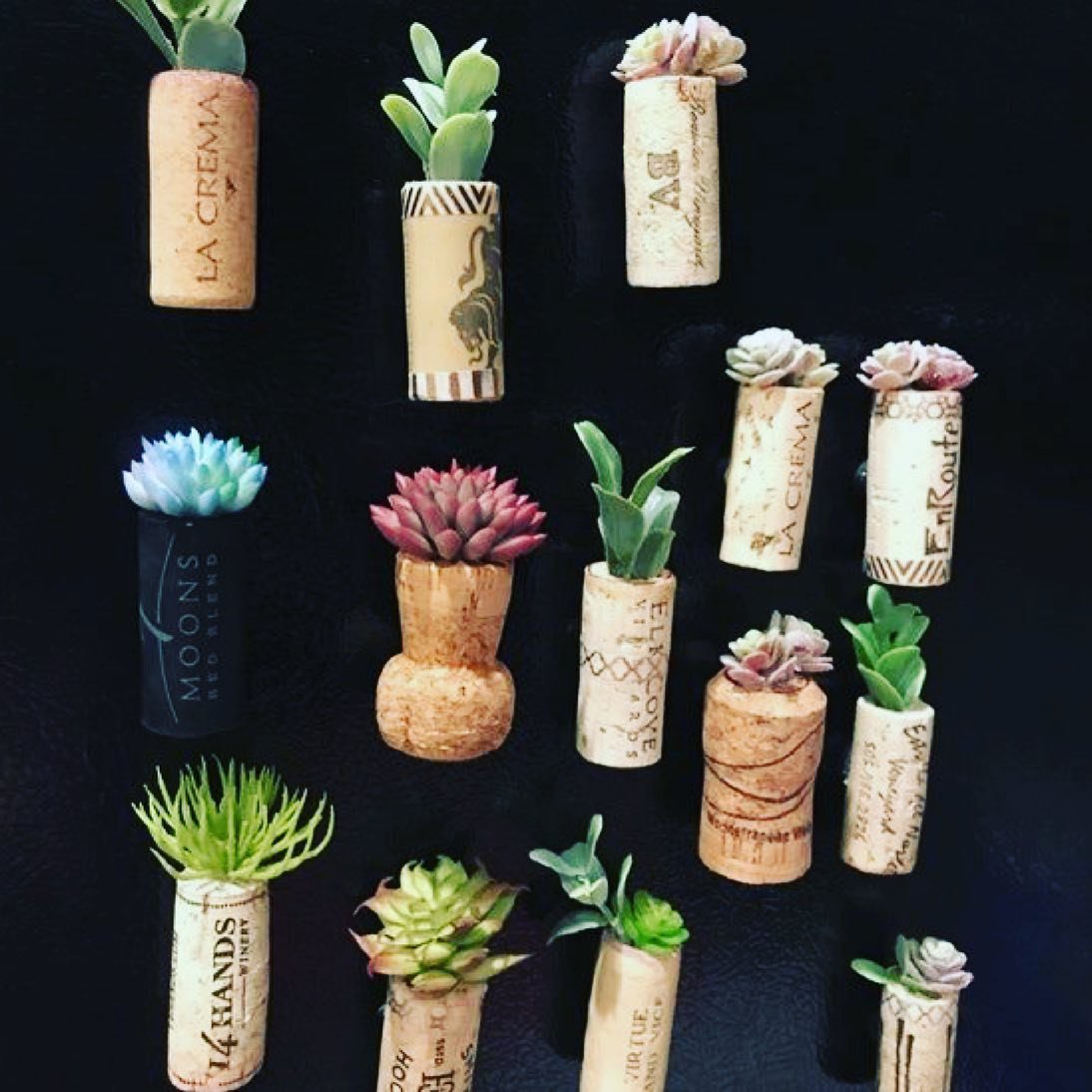 Miniature succulent plants growing out of various decorated wine corks on a black surface.