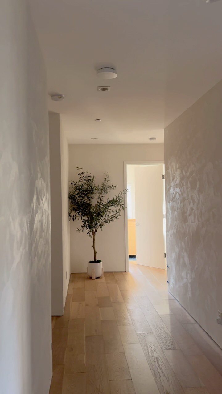 Textured plaster walls line a bright hallway with light wood floors and a potted plant.