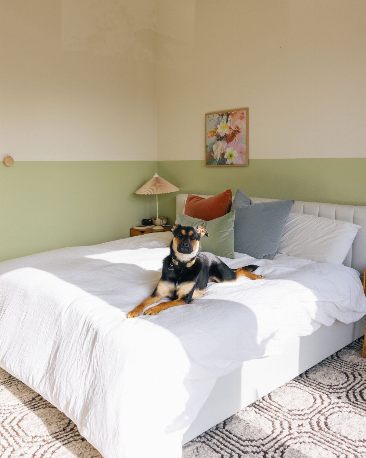 A black and tan dog rests on a white bed against two-toned sage green and cream walls.