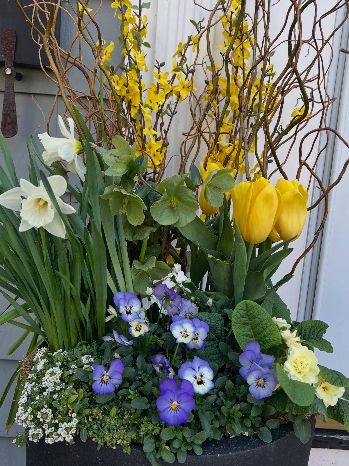 Spring flowers including tulips, daffodils, and pansies arranged in a large black planter.