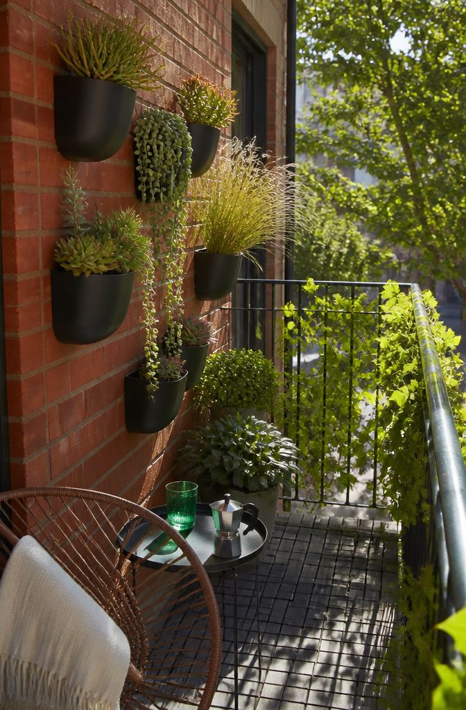 Succulent plants in wall-mounted planters on a brick balcony wall.
