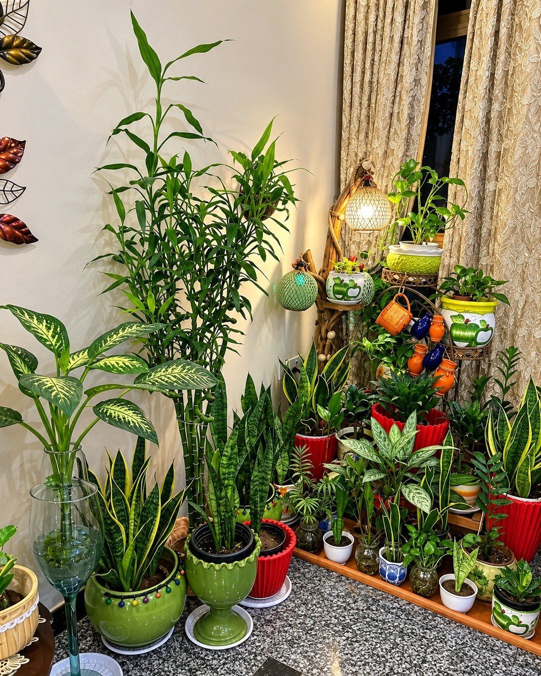 Various green indoor plants in colorful ceramic pots arranged on a speckled countertop.