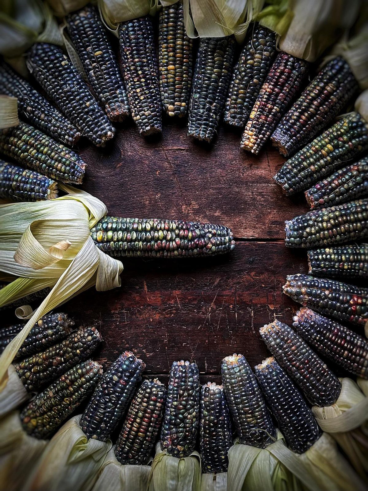 Multicolored dried corn ears arranged in a circle on a dark wooden background.