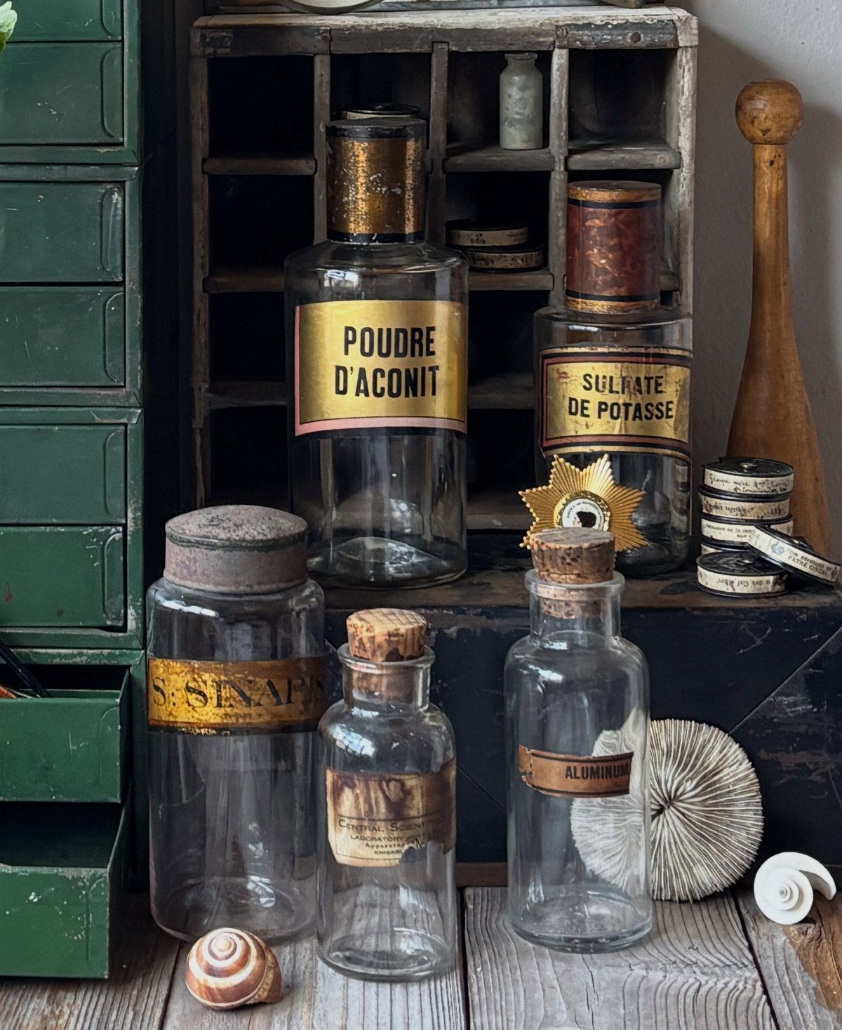 Vintage glass apothecary bottles with aged labels arranged on a rustic wooden surface with seashells.